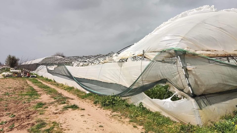 277679164_3272284786324501_6625446570097869287_n