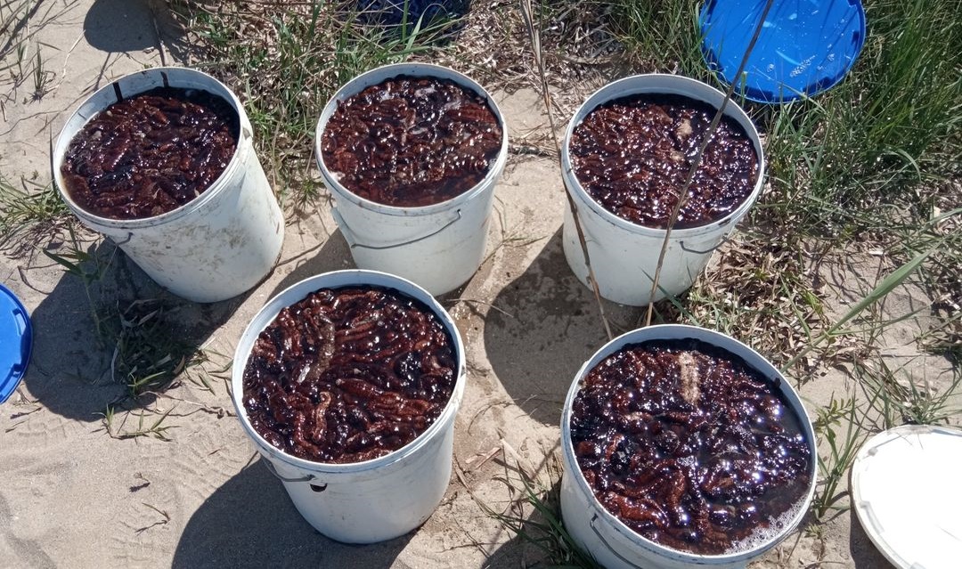 278394272_3280759408810372_3194303136026062343_n