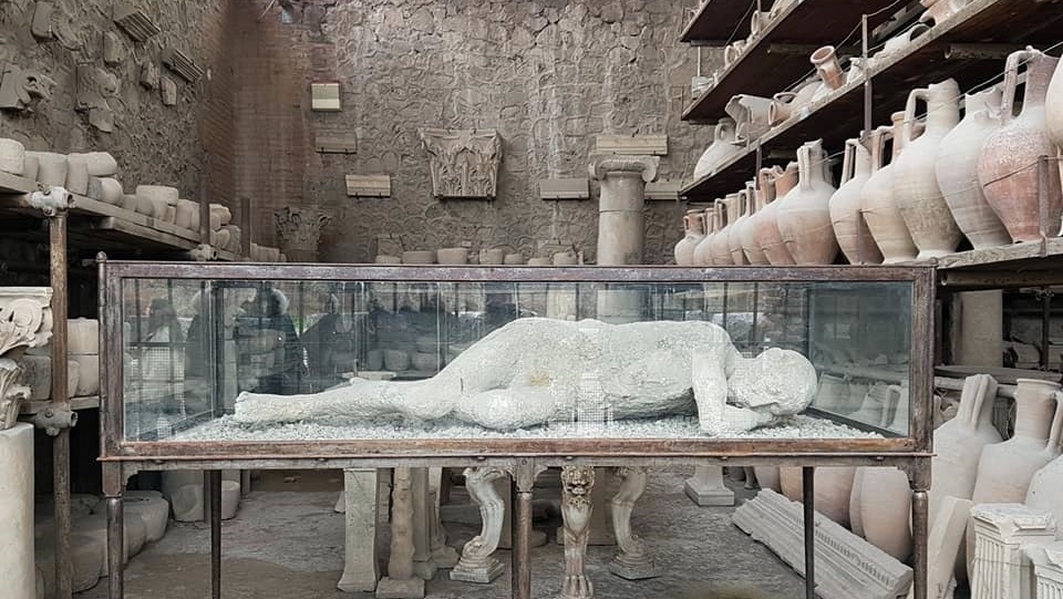 28055845_10215403839948514_7472146477132407139_n