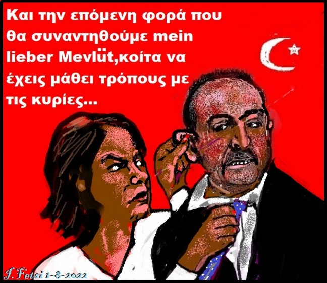 43.Πρώτη γνωριμία της Annalena Berbock με Τσαβούσογλου