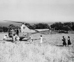 4. Naval helicopter landing in an olive grove on the island of Zante (IWM A32666)
