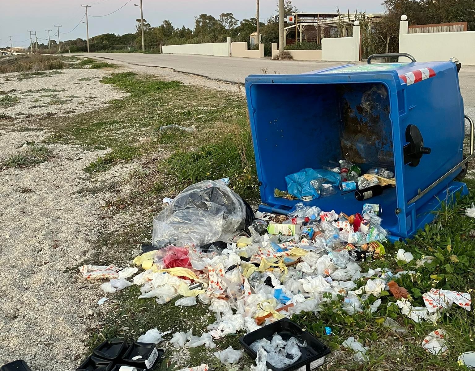 1_ai_giannis_skoupidia