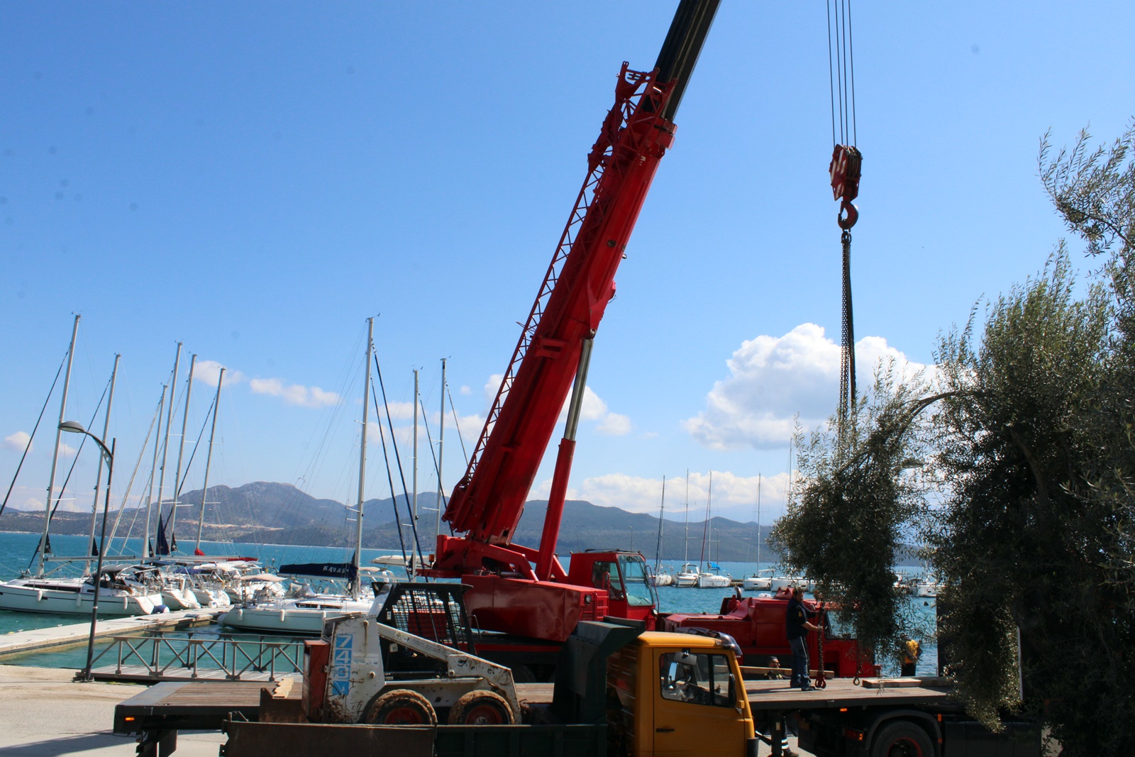 1_ploti_esedra_nikiana