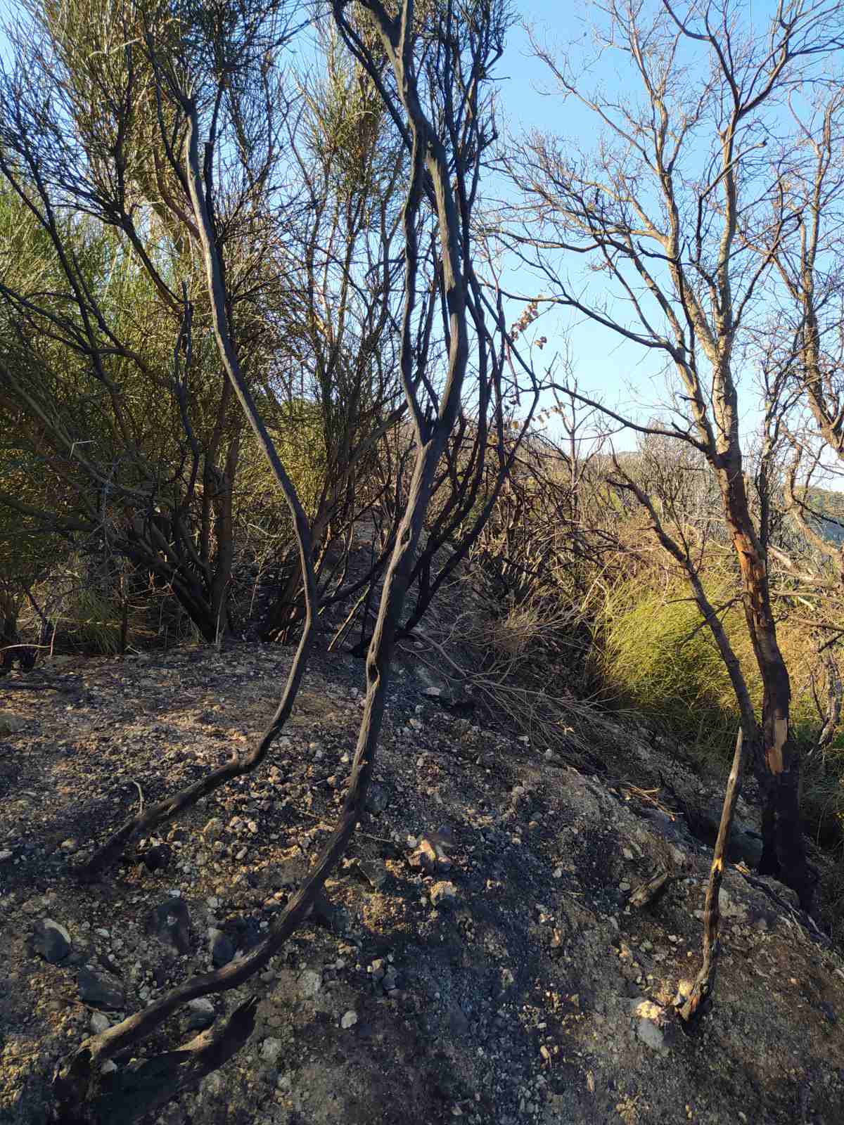 εικόνα_Viber_2023-09-11_10-16-24-266