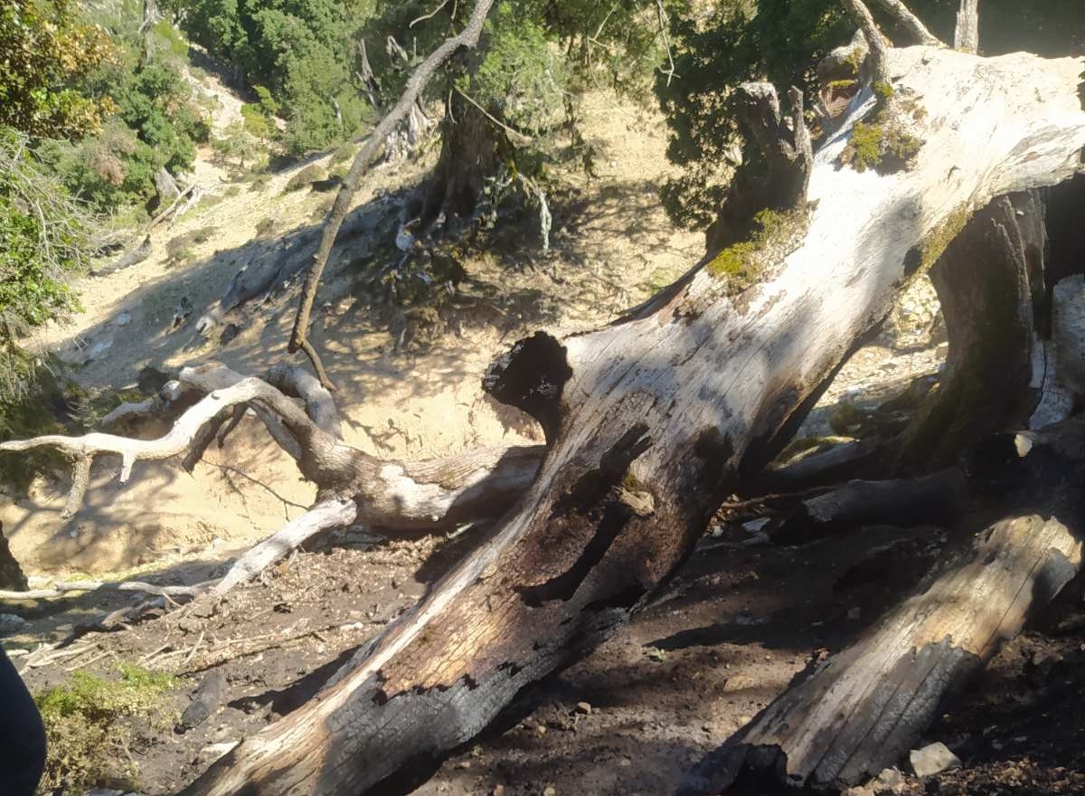 εικόνα_Viber_2023-09-13_18-36-06-052