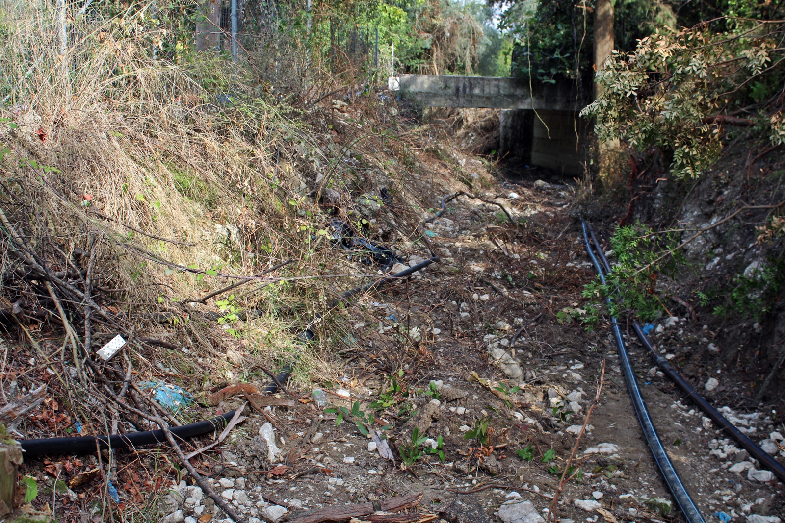 14_xeimarros_nikianas