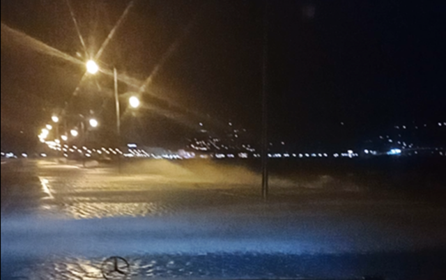 limnothalassa_anemos