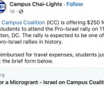 pro-israel-rally