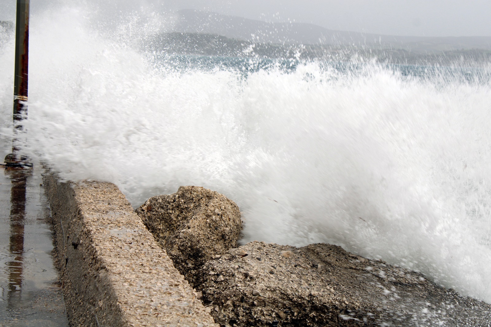 1_thalassa_nikiana (1)