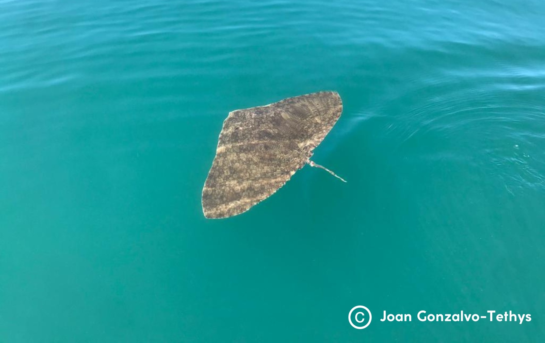 421937769_876977827767813_2373794290481334922_n