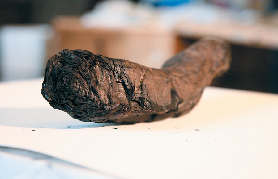 3_Herculaneum_papyroi