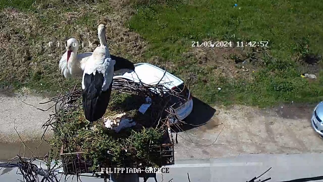 434061115_906217204843875_7214923006146604535_n