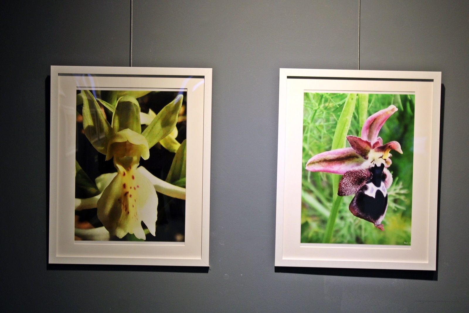 36_ekthesi_fotografias_lazaris_katopodi