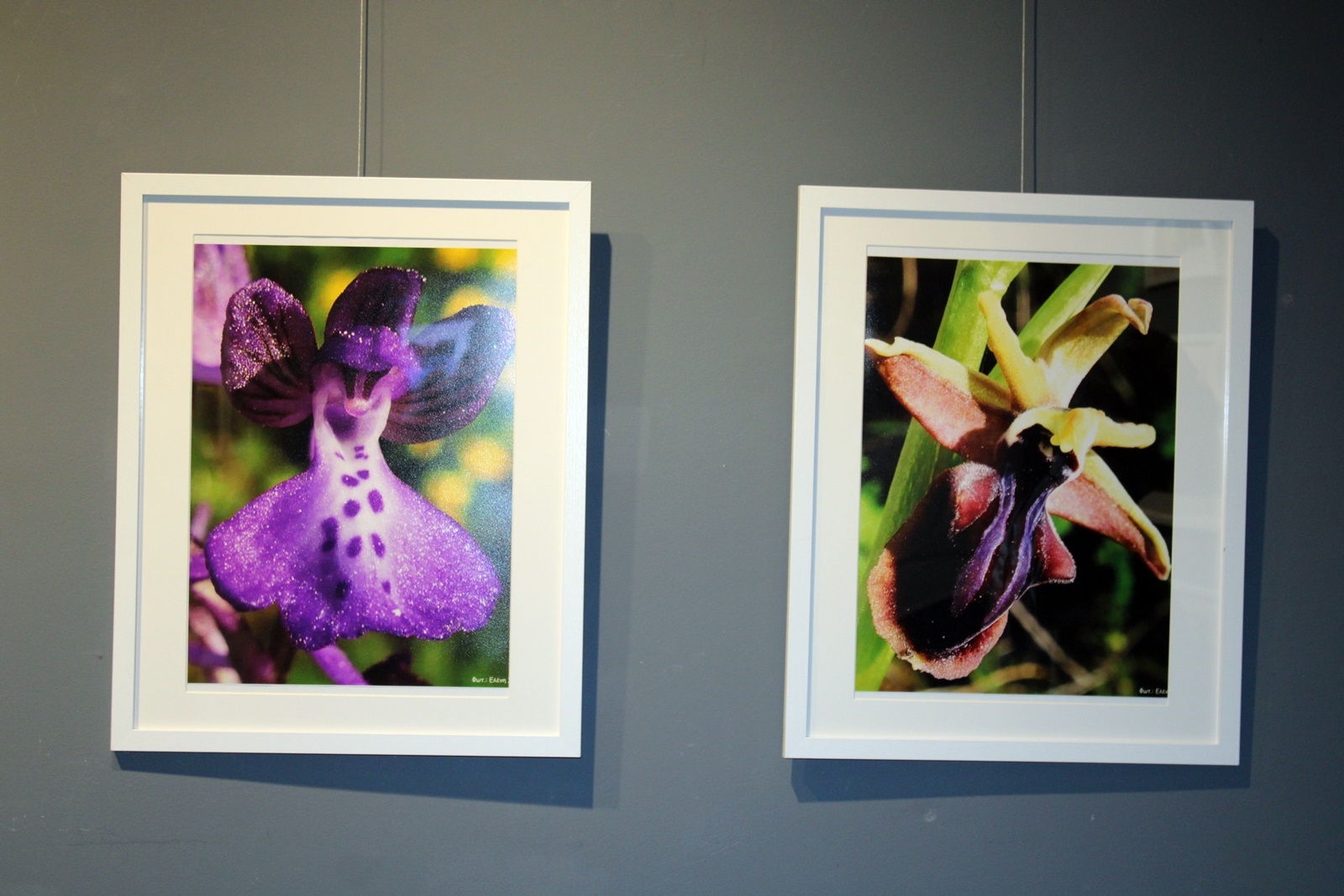 40_ekthesi_fotografias_lazaris_katopodi