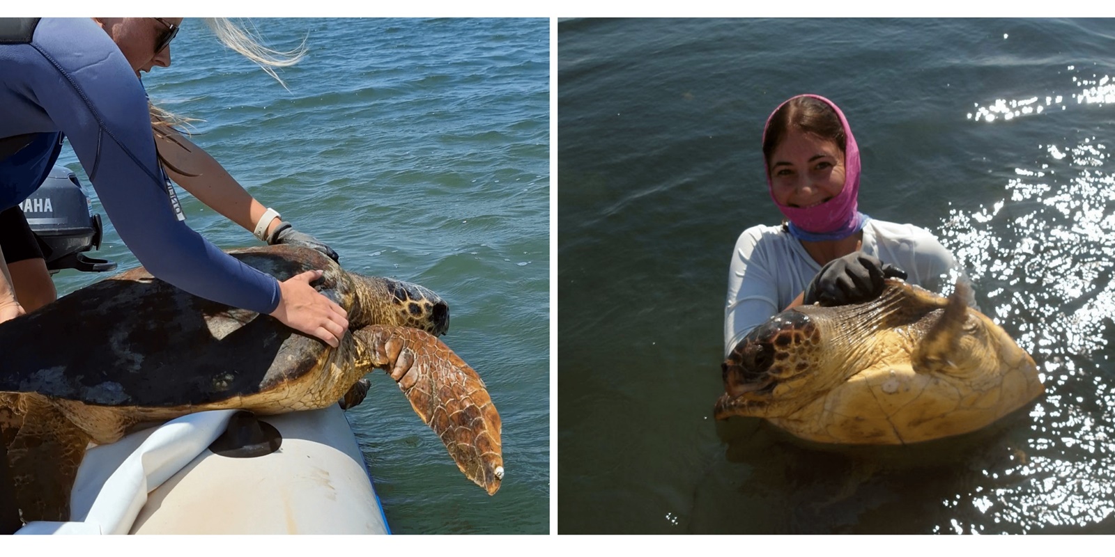 460172292_1039323024866625_550001255854172594_n