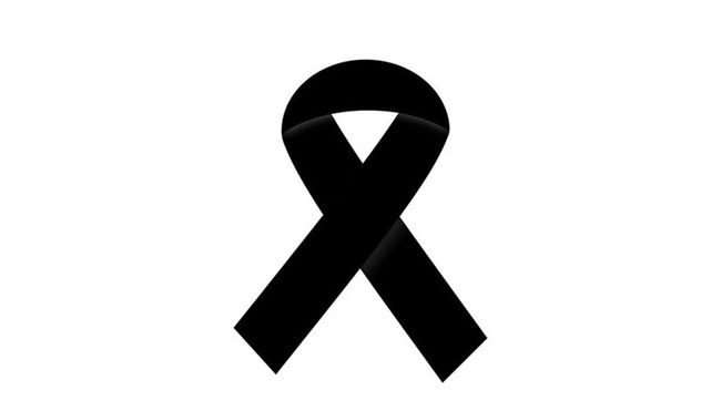 468934331_1869834450172266_7465639574936492515_n