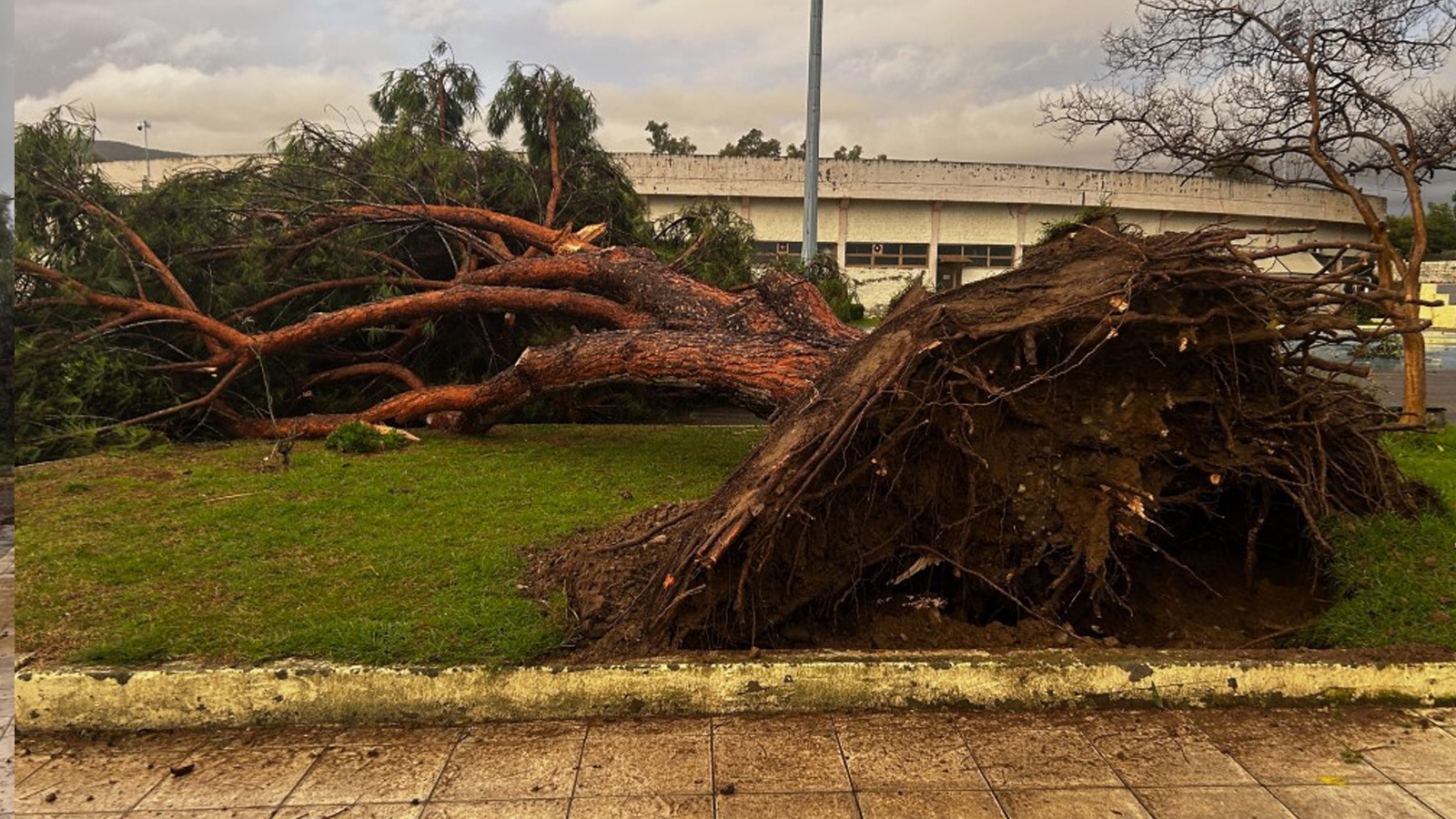 agrinio-dak-anemostrovilo-9