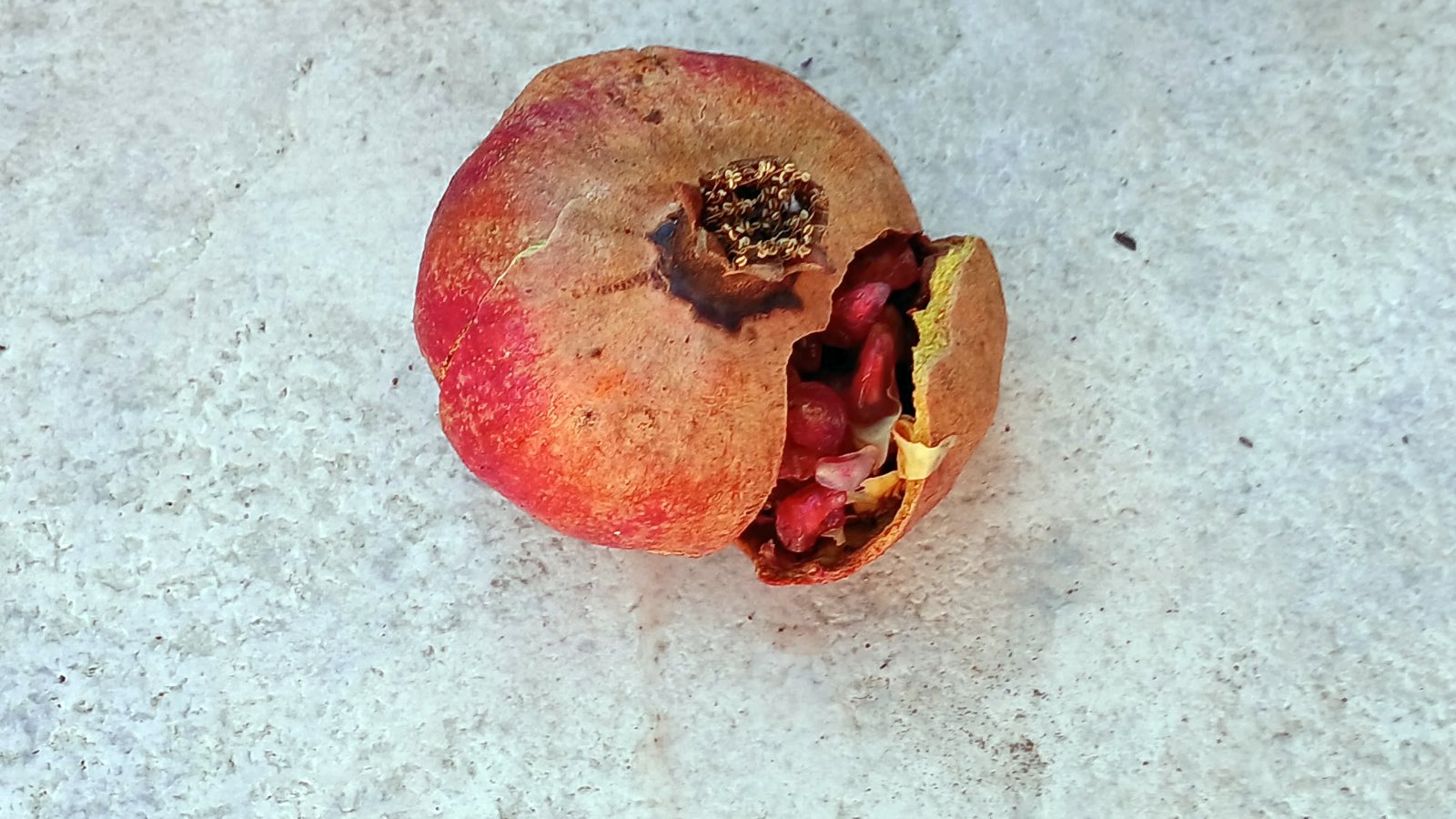 protoxroniatiko_rodi