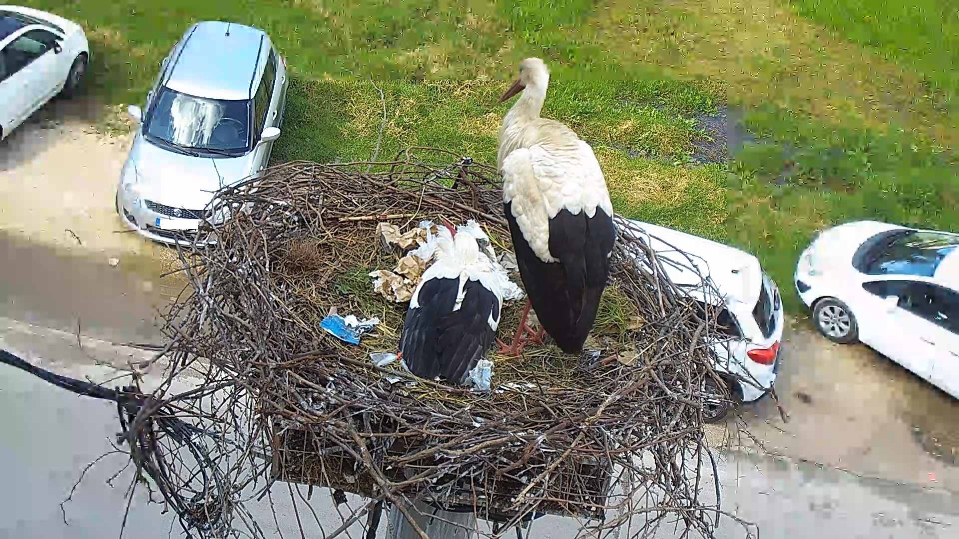 488907015_1205012228297703_8309053530393238170_n