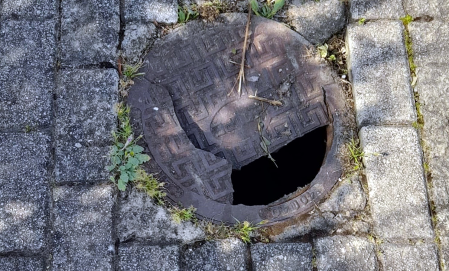 78b13788-39a7-4192-a7db-1909d61a5403