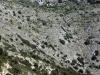 3_oreini_lefkada_fakoxorafa