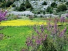 8_oreini_lefkada_fakoxorafa