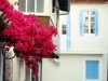 16_voukamvilia