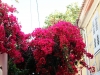 6_voukamvilia