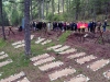10_grammos