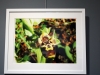 35_ekthesi_fotografias_lazaris_katopodi