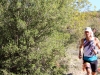 36_lefkas_trail_run