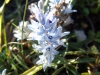 33_chlorida_feb_2022