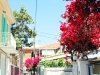 31_voukamvilia