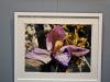 39_ekthesi_fotografias_lazaris_katopodi