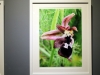 41_ekthesi_fotografias_lazaris_katopodi