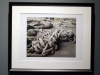 51_ekthesi_fotografias_lazaris_katopodi