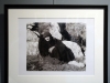 54_ekthesi_fotografias_lazaris_katopodi