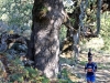 43_lefkas_trail_run