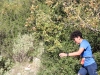 51_lefkas_trail_run