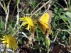 55_lefkas_trail_run
