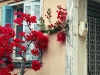 41_voukamvilia