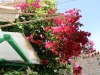 61_voukamvilia