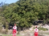 97_lefkas_trail_run