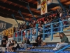 8_doxa_olympiakos_volou