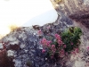4_esperinos_agion_pateron