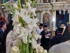 19_khdeia_zabelis