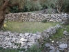 10_lithies