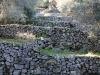 6_lithies