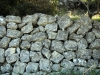 9_lithies