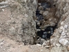 5_lymata_nikiana